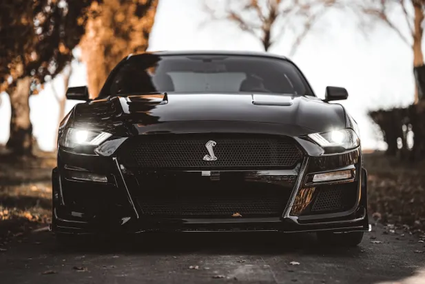 Lapilanders Casino Application Android/iOS